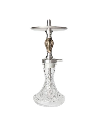purga rp hookah cobra